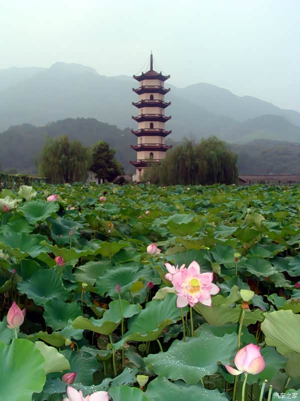 武义,兰溪四景点两日家庭自驾游,海量图片