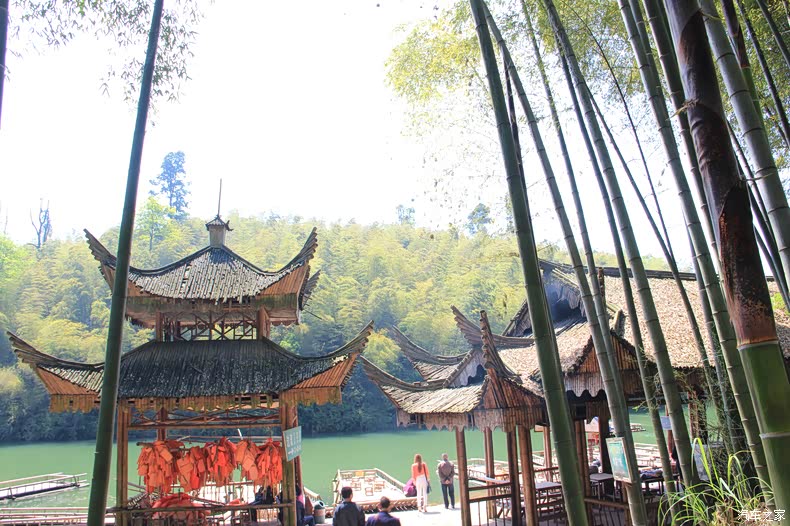 自驾四川蜀南竹海,享世外桃源美景