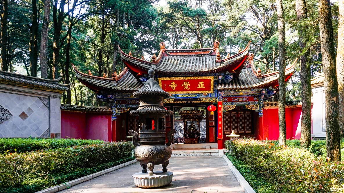 精金秋漫游昆明西山森林公园