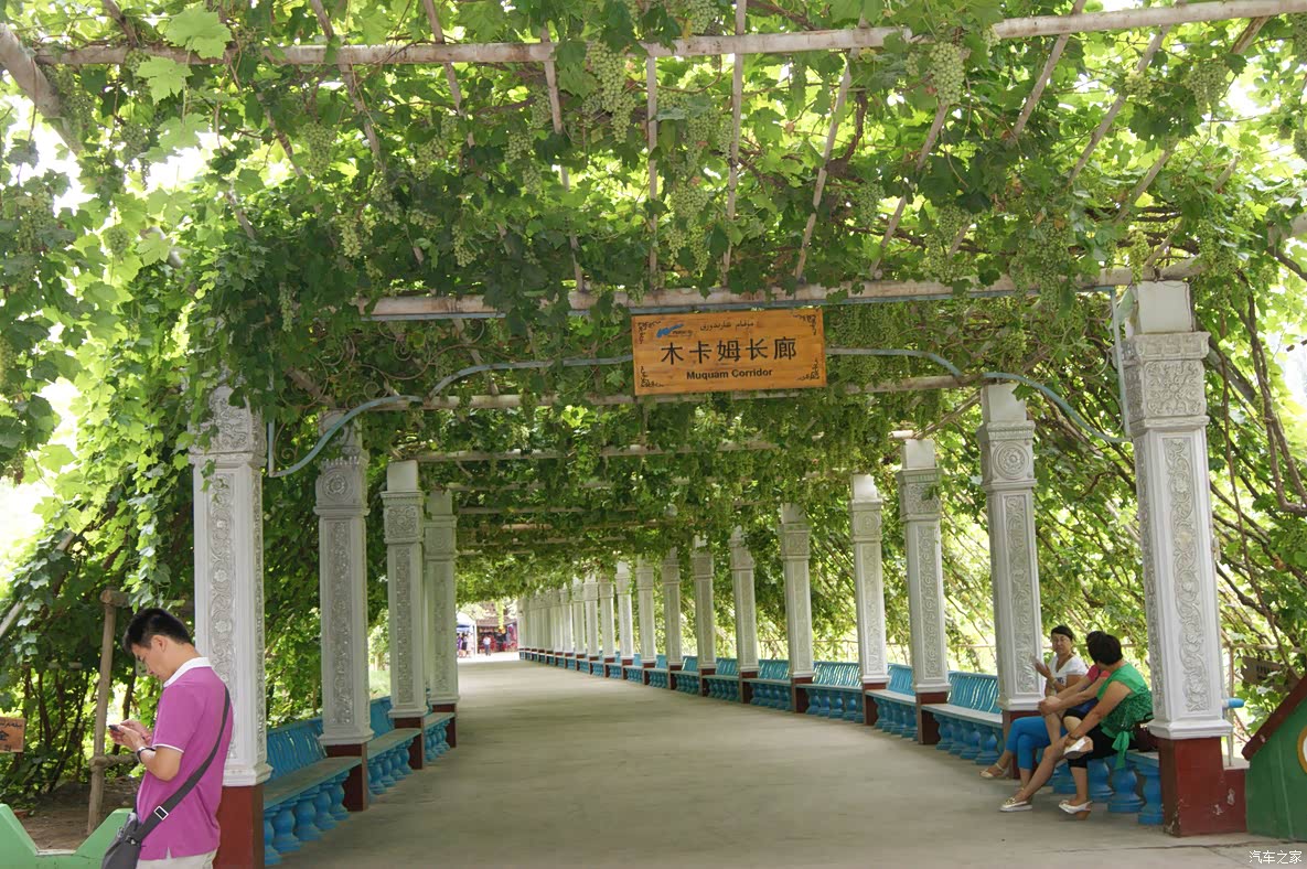 【新疆行22】新疆吐鲁番葡萄沟风景区