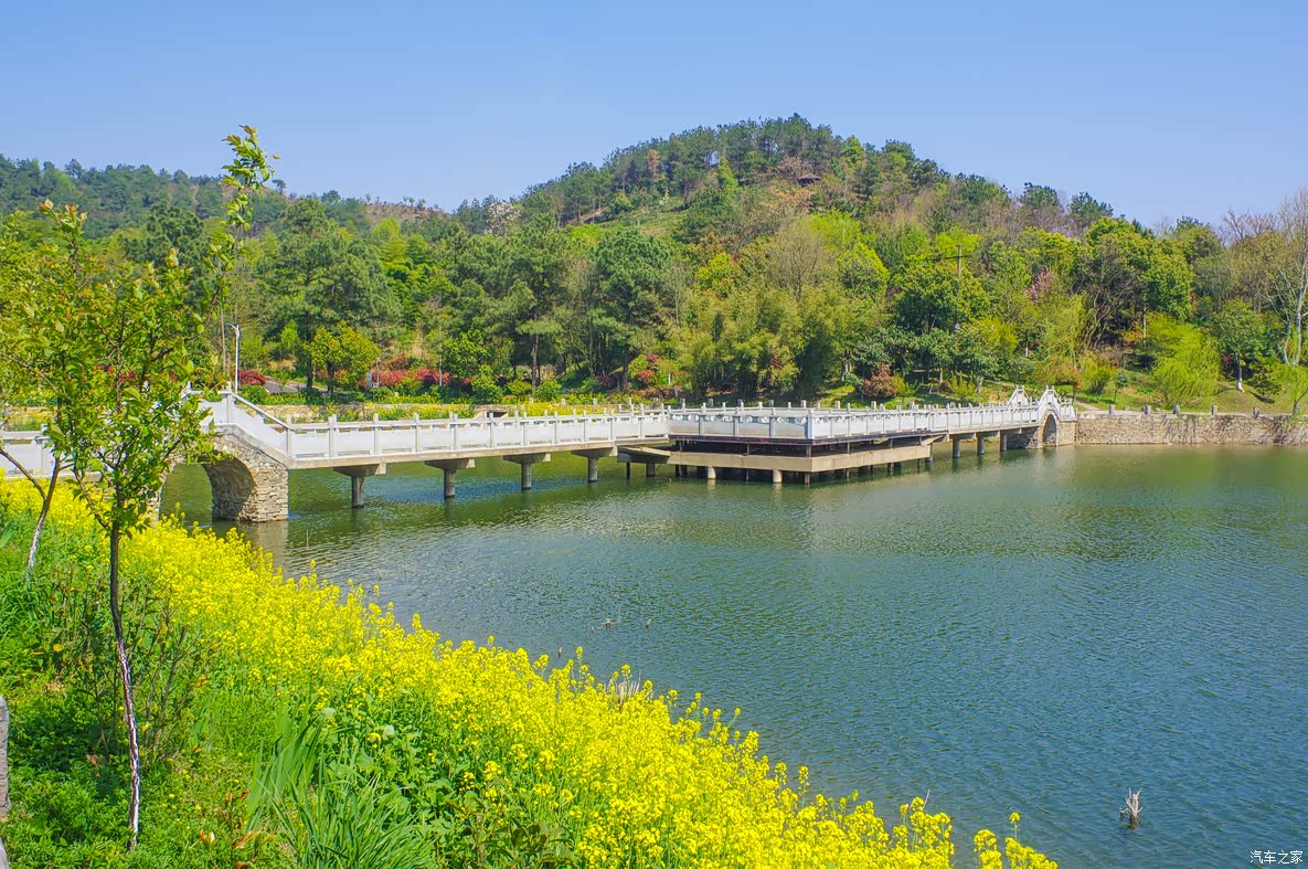 花乡茶谷:最清新脱俗的景区,鲜花怒放,风景这边独好