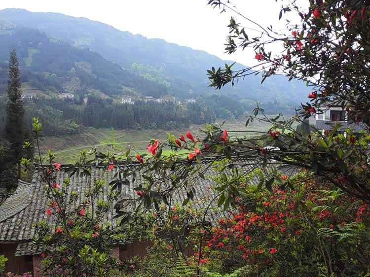 其中特别推荐一家叫乐乐居的农家山庄