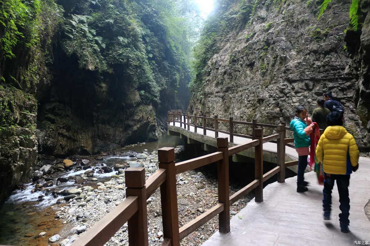 重庆-綦江-黑山谷风景区