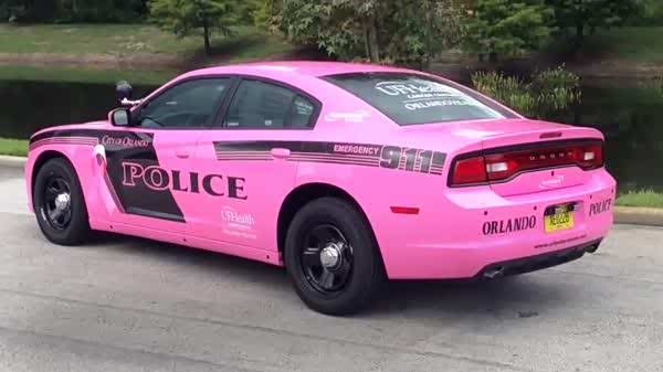 超靓实拍美国女警察的粉色警车