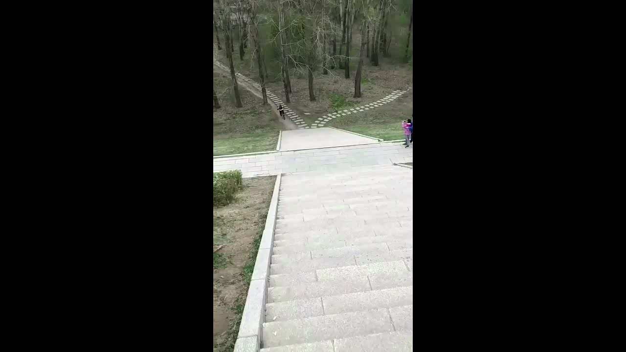 呼叫总部呼叫总部自行车起飞失败