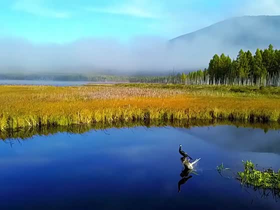 春天已至,万物复苏,一片祥和的景色!