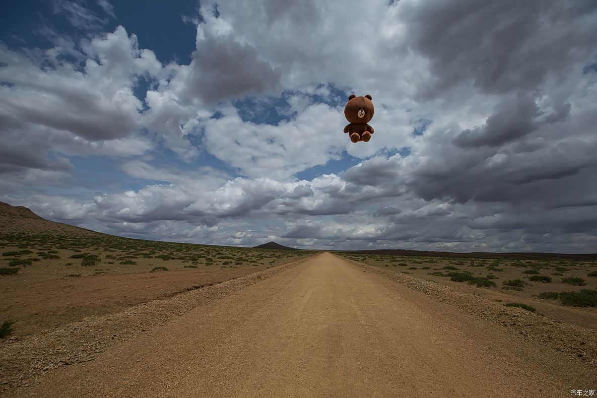 他的心情和我一样激动.飞起来,表达爱!