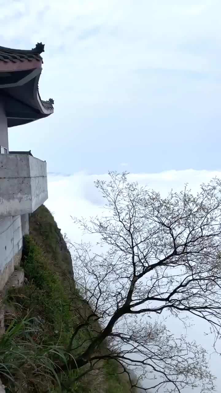 山上雾气缭绕好美