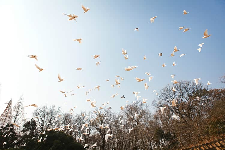【传祺ga6杯】"双蛋"节,带着一家泡温泉
