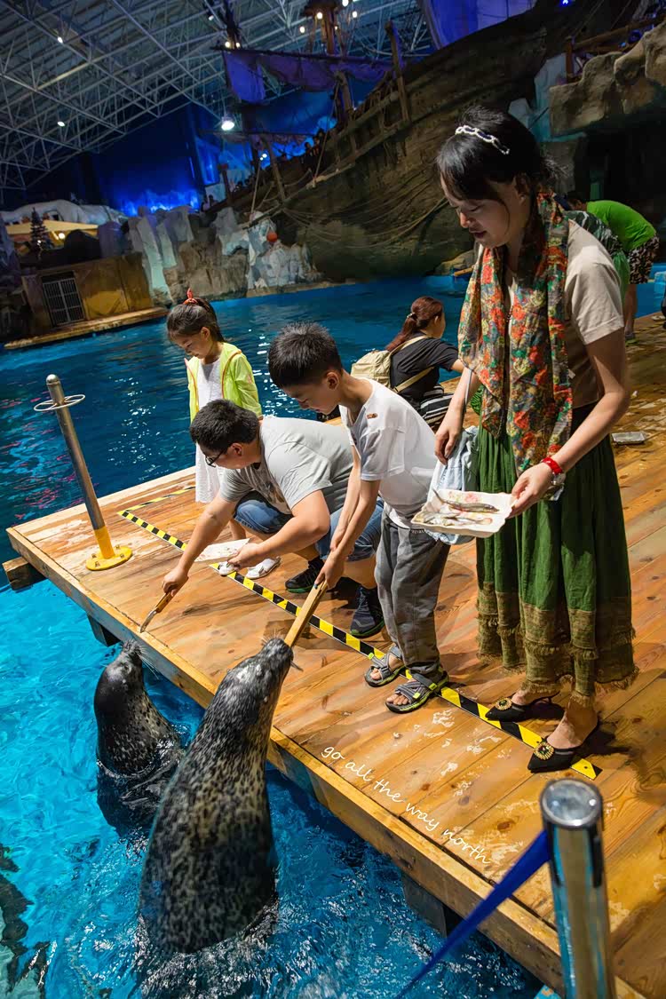 来回7500公里一路向北,重庆至东北环游