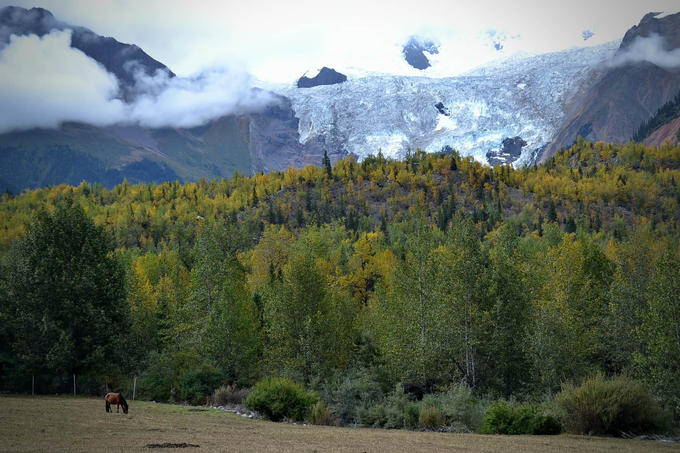 米堆冰川脚下是一个叫米堆的藏族村子,它属于西藏林芝地区波密县玉普