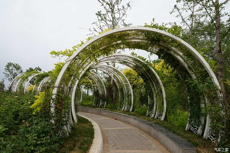 绿色植物建造的时空隧道