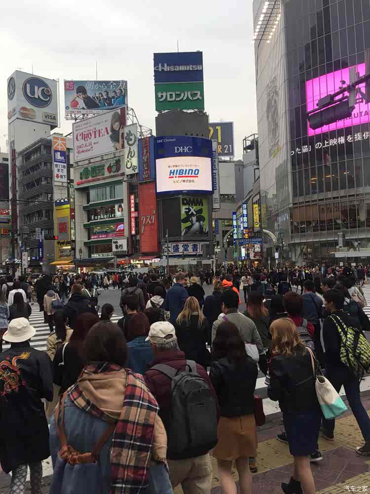 四人七天日本赏樱