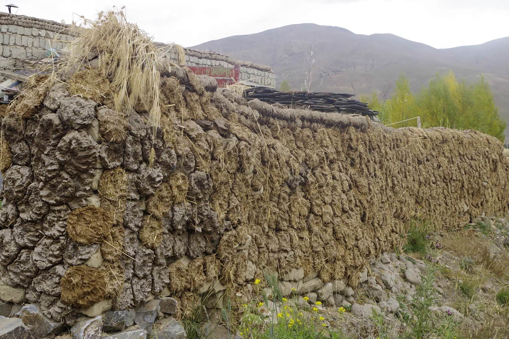 藏族同胞的燃料,晒牛粪2016-09-02第十四天 拉孜-珠峰-日喀则今天是我