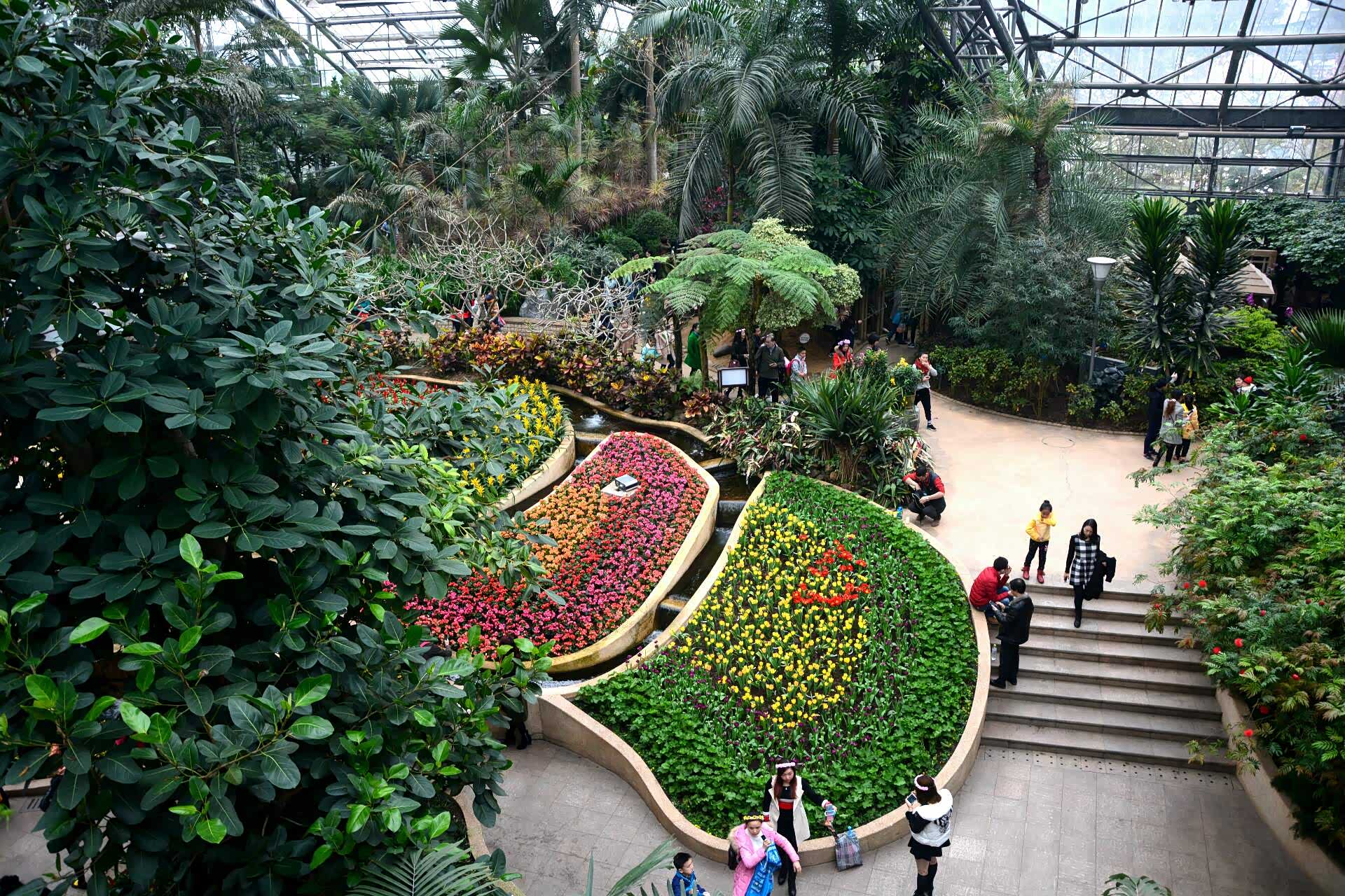 南山植物园展览温室建筑面积近8000平方米,投资1.