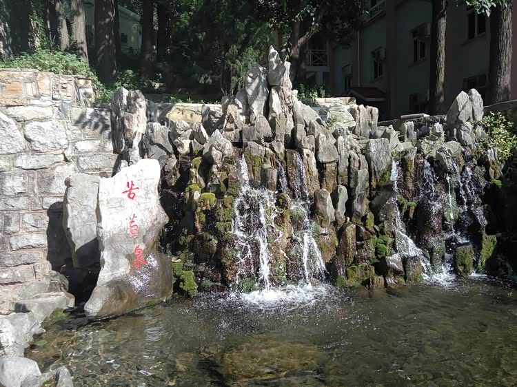 苍蝇拍子出品----------抓住假期的尾巴尖,72名泉之苦苣泉