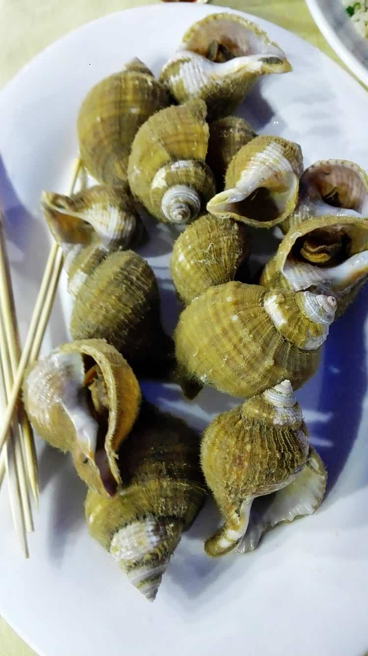 毛螺【手机拍摄】