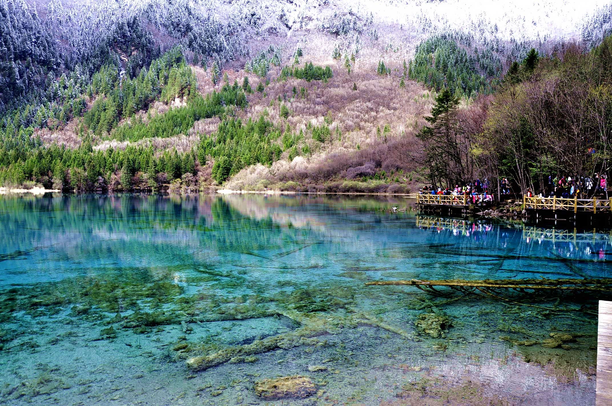 湖底的枯树,由于钙化,变成了一丛丛的珊瑚.