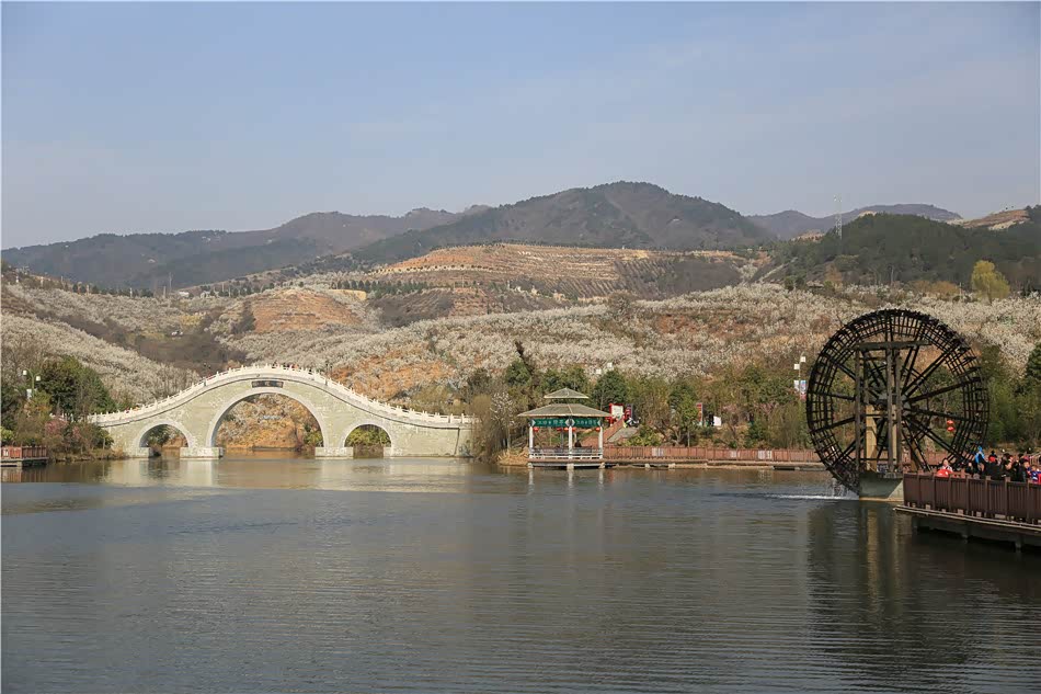 樱花湖长枪短炮,一饱眼福龙江"狮子舞 草龙 中华舞龙"非遗项目:镇巴