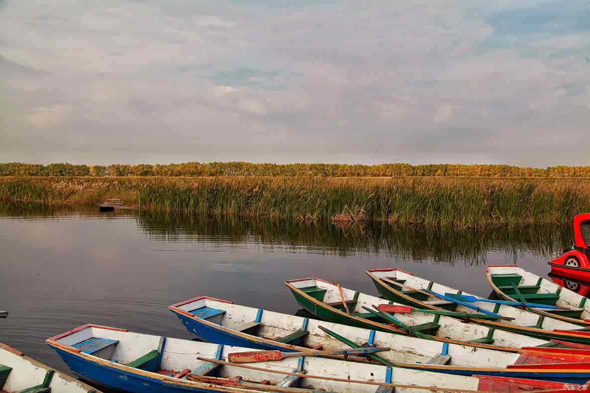 荐游记晒旅行美图东北三江安邦河湿地