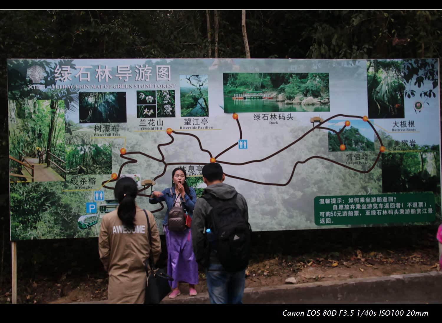 导游妹子在介绍步行路线 西双版纳热带植物园