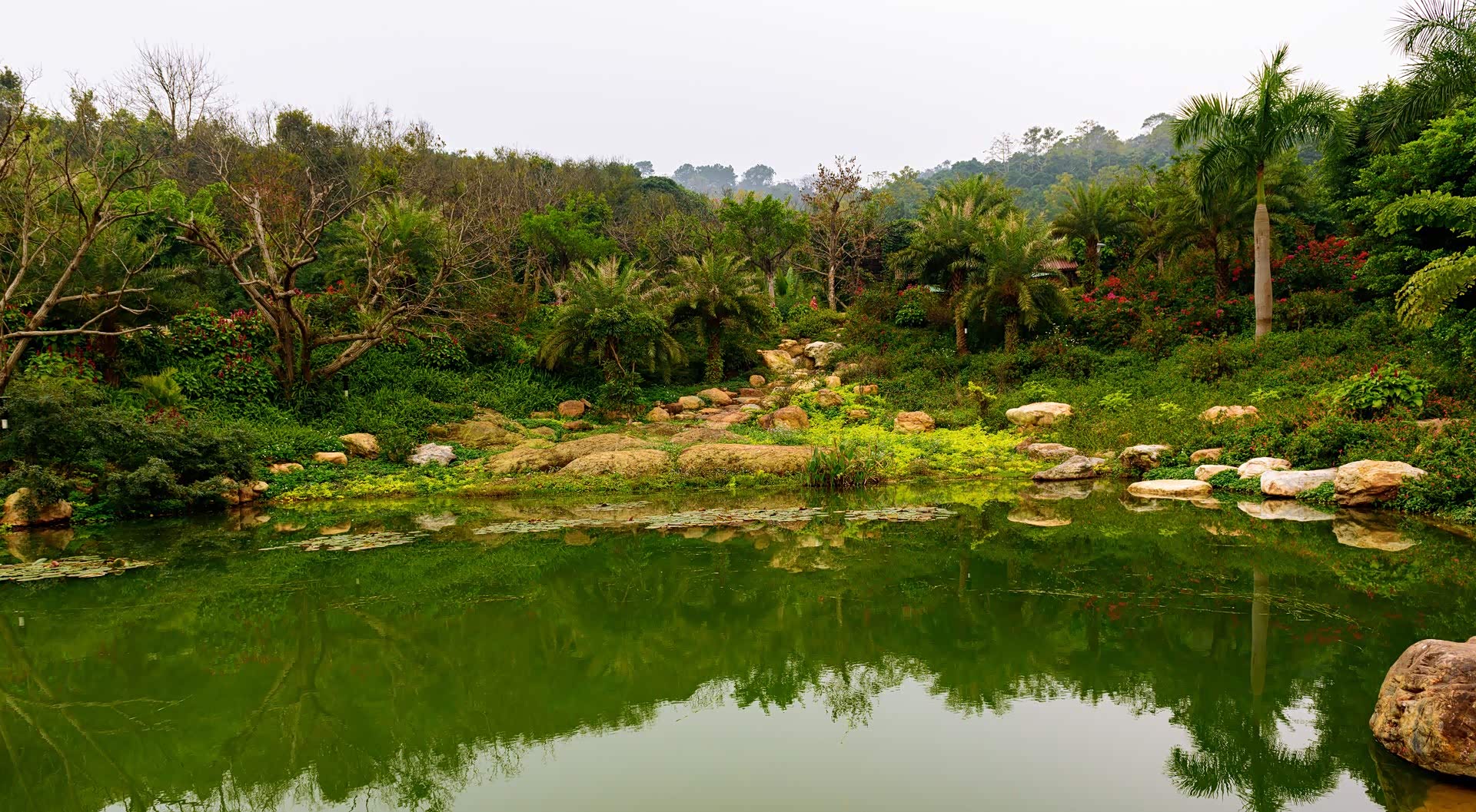 春天,万物复苏,到处绿色盎然,生机勃勃