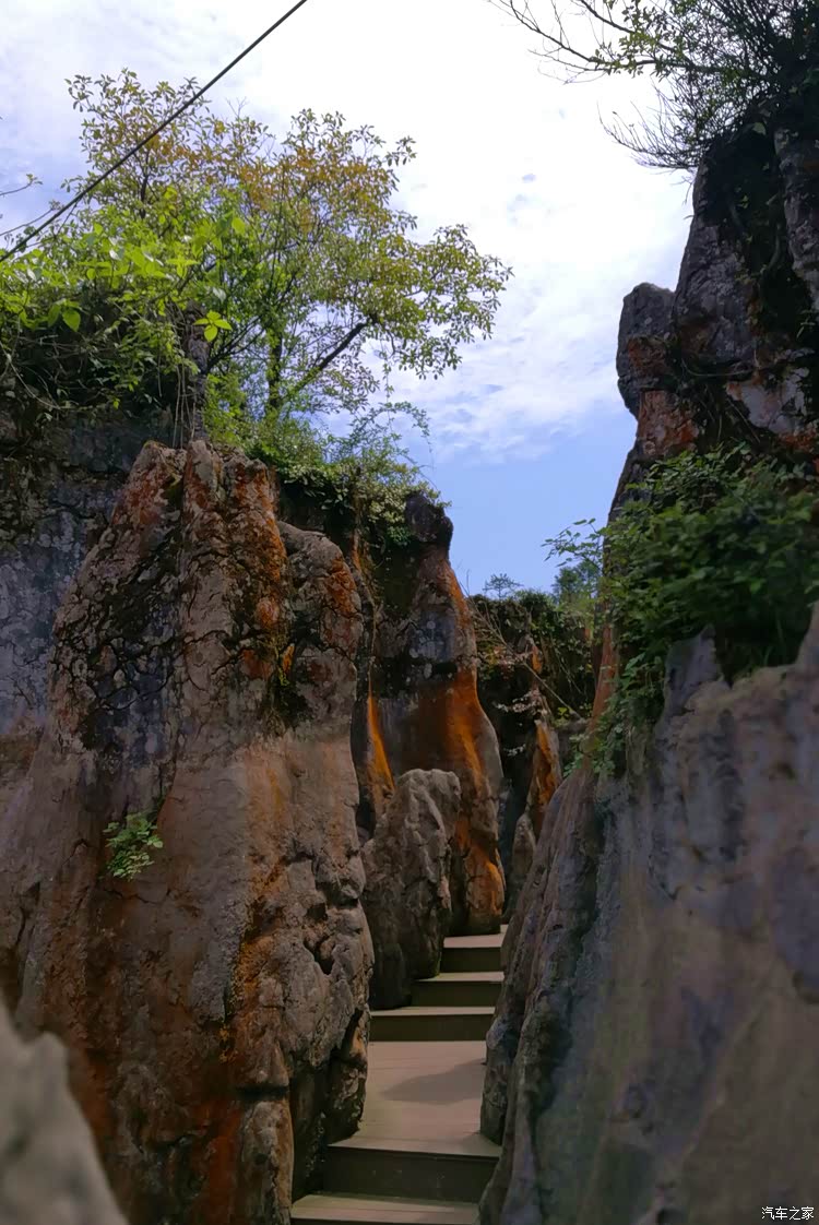 游华蓥山石林 石笋尖上找小猪, 生命根洞探人初.