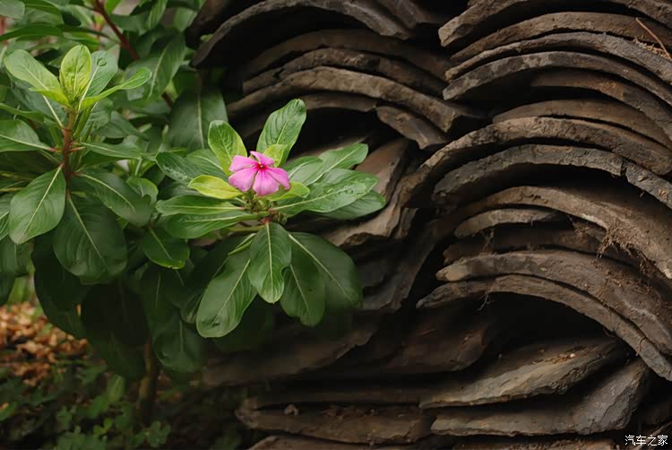 游记详情页读图模式