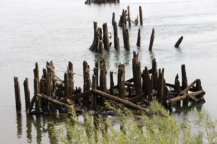 目前仅能看到的是一组一组的木桩子,并列在江水中.