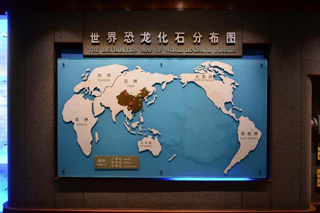 在世界恐龙化石分布图中,自贡是分外醒目的一个点