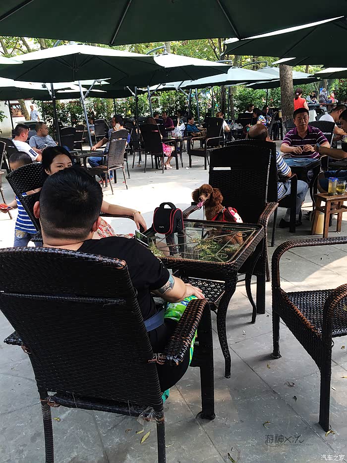 太白公园内,茶座到处是