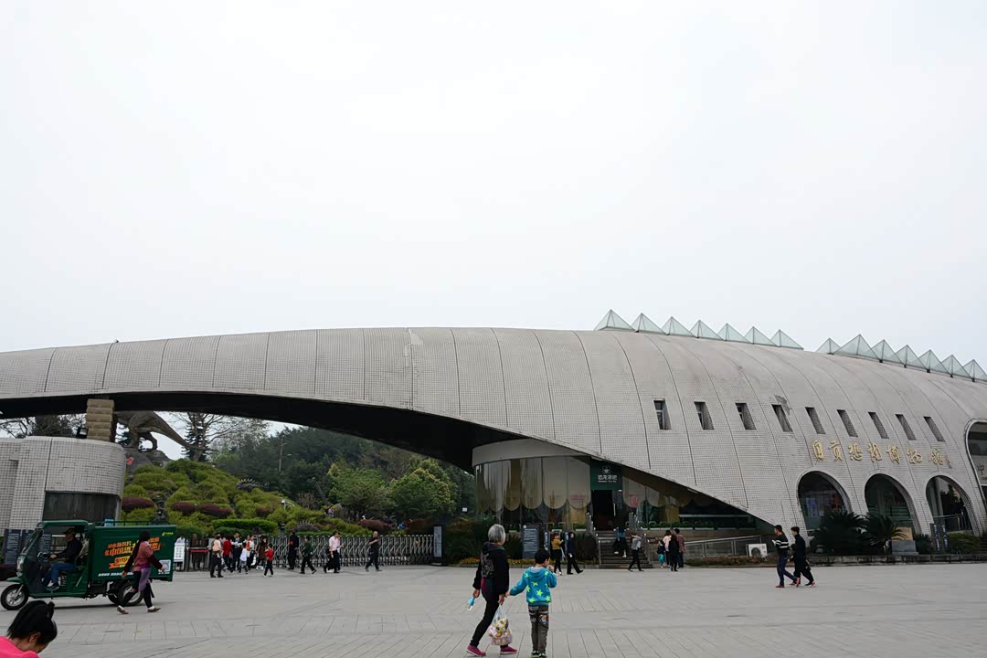 博物馆大门,设计成恐龙的形象——长长的尾巴,还有三角形的骨板,远看