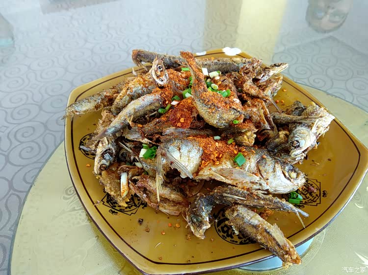 马湖  美丽  美食  美景  还有美女