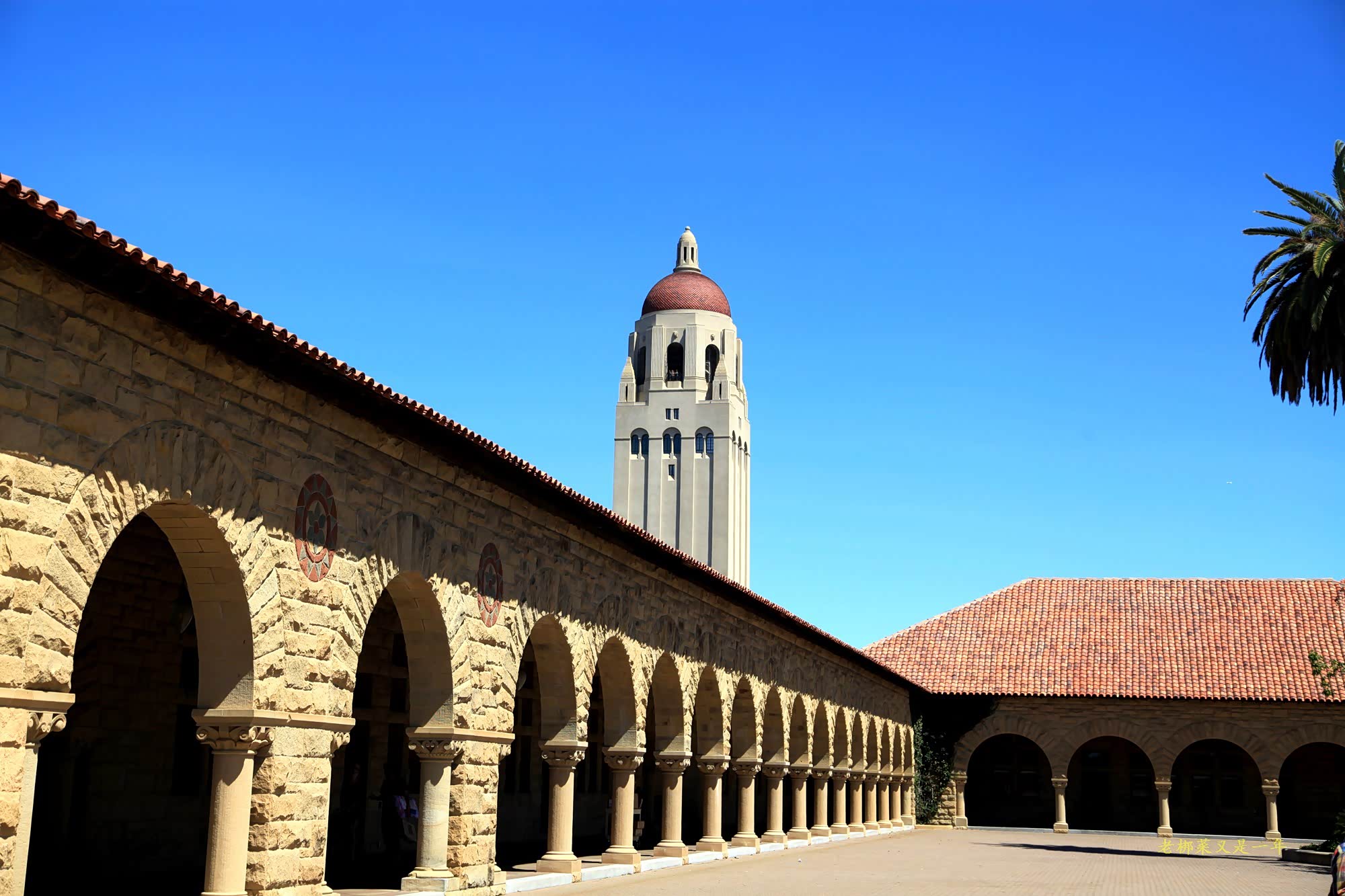 院子的美体现在各个角度 斯坦佛大学