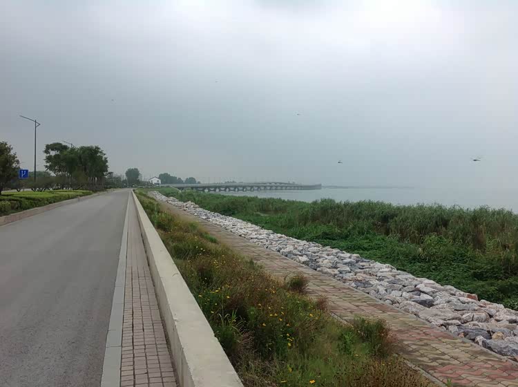 长兴段滨湖大道上的太湖大桥,距离蛮长.