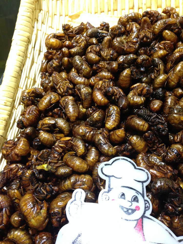 苏州北京 中途穿插北戴河3日游 邳州1日游 一共8天 全程3000公里