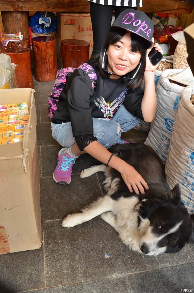 老婆看见狗就动不了