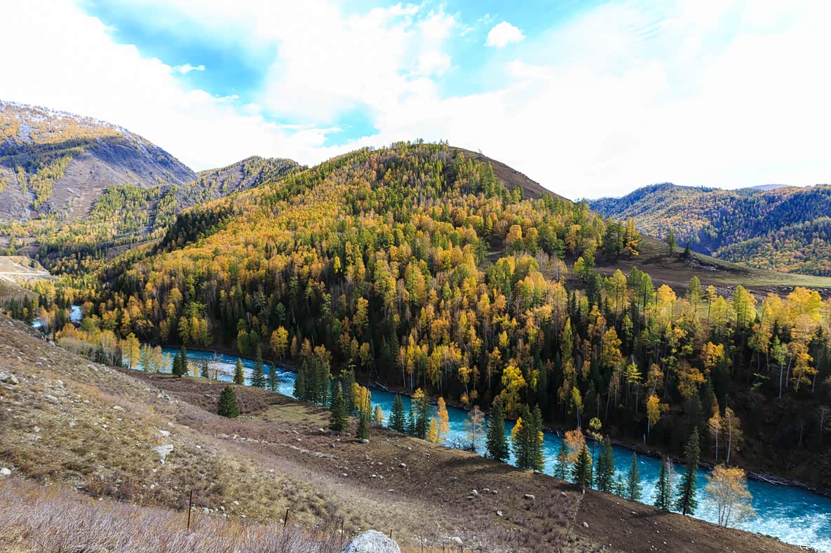 荐【新疆】神的后花园,艳遇喀纳斯