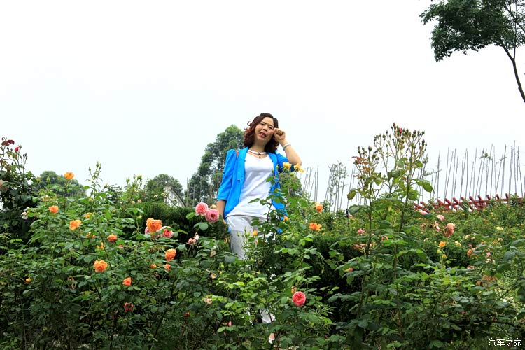 爱旅游,爱美丽,爱吃睡觉,爱与花儿比美的小姐姐一枚.