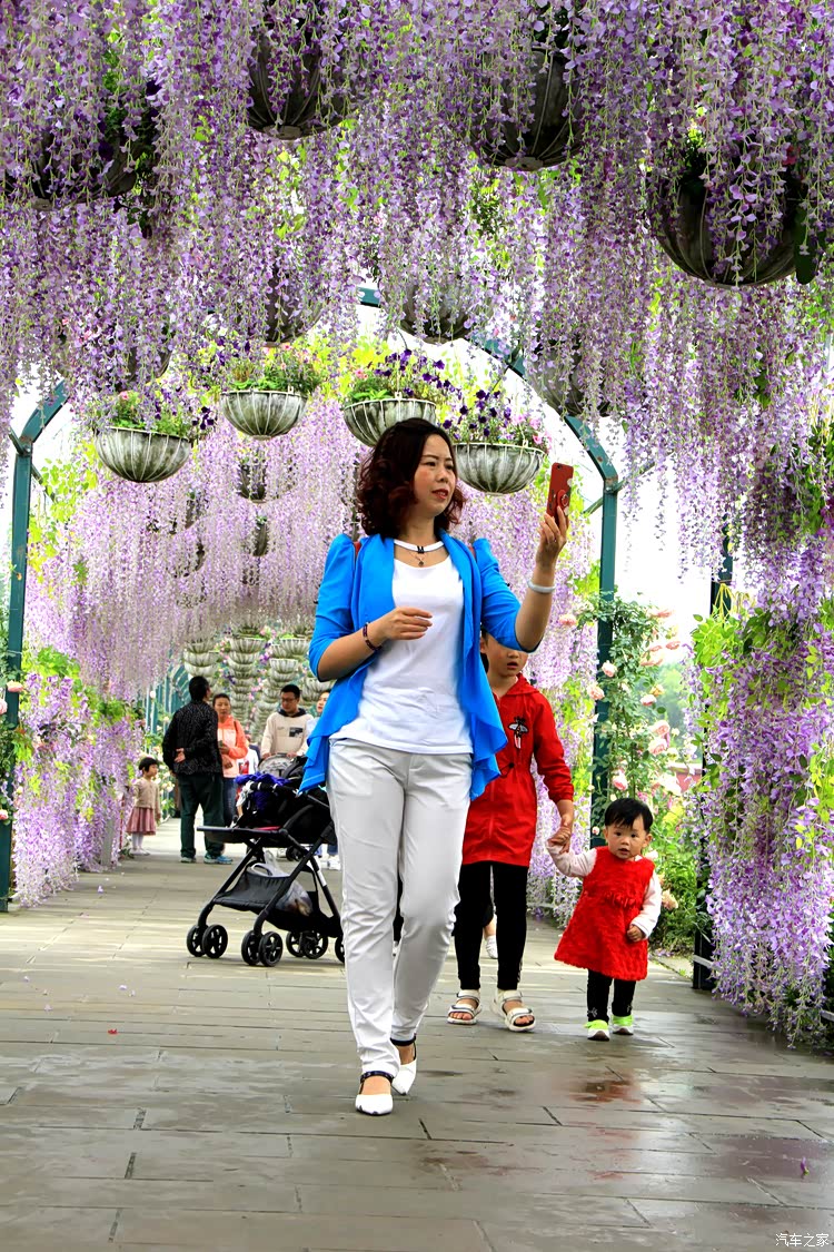 爱旅游,爱美丽,爱吃睡觉,爱与花儿比美的小姐姐一枚.