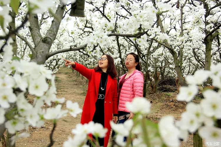 爱旅游,爱美丽,爱吃睡觉,爱与花儿比美的小姐姐一枚.