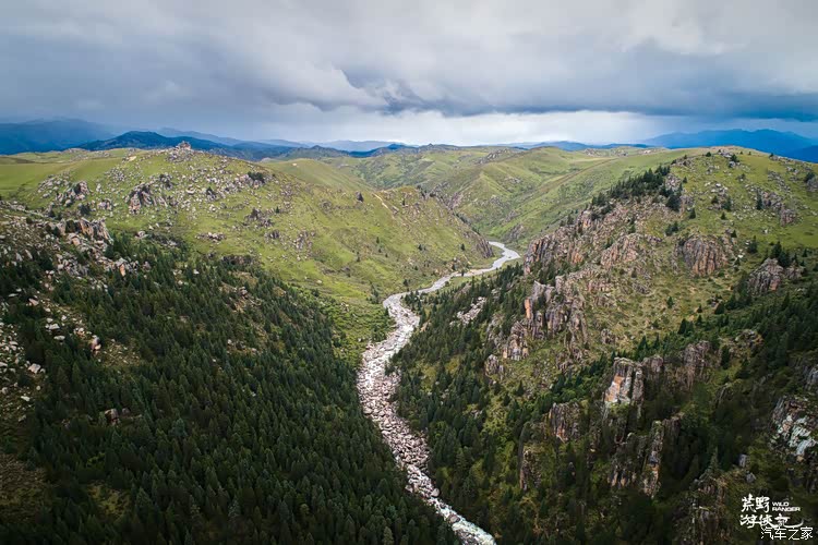 针叶林茂密的河谷地带