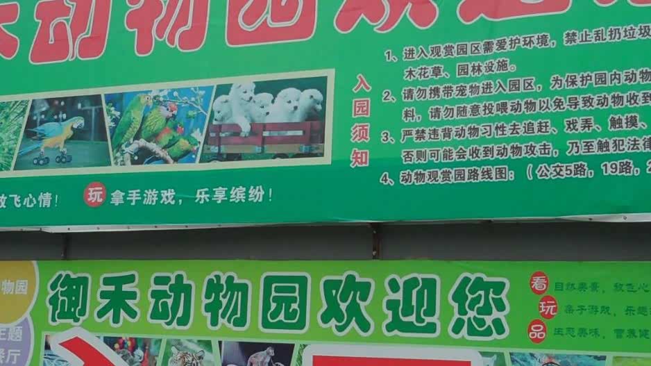 带宝宝游览御禾动物园