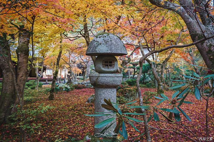 京都 深秋小众寺庙赏枫之旅 与你共度红叶季的浪漫色彩