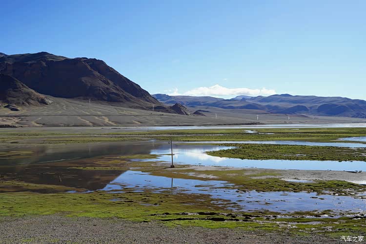 森格藏布湿地.