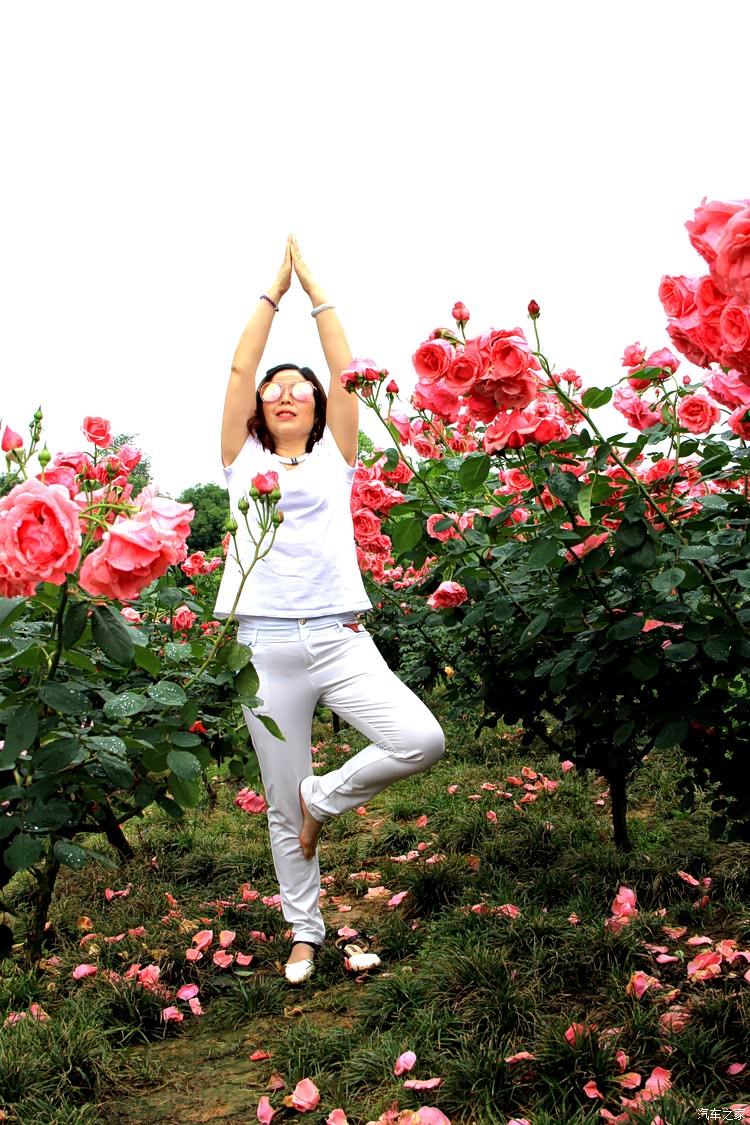 爱旅游,爱美丽,爱吃睡觉,爱与花儿比美的小姐姐一枚.