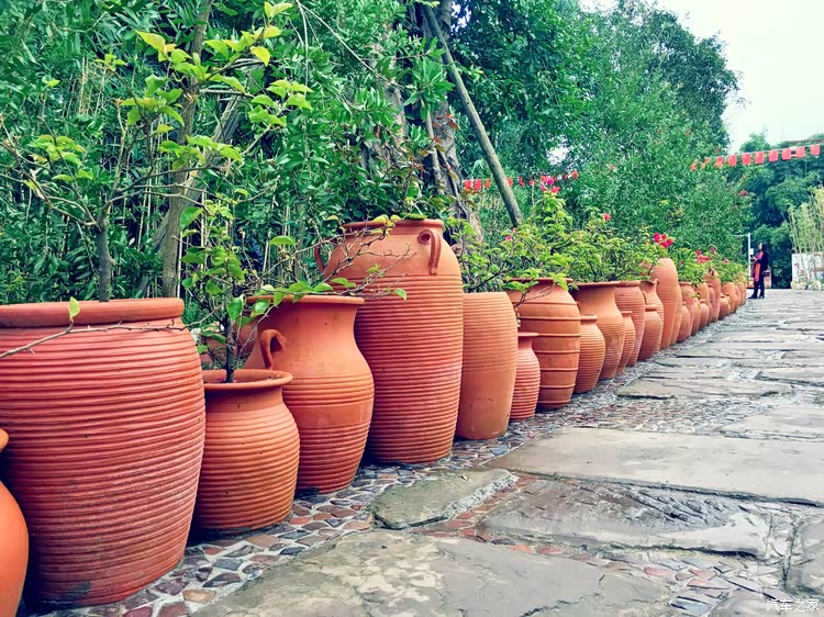 路边的花池就是由各种形状各种大小的陶罐组成