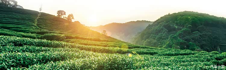 七月自驾第一季 山川茶野的网红秘境 安吉涵田 七月自驾第一季 山川茶野的网红秘境 安吉涵田