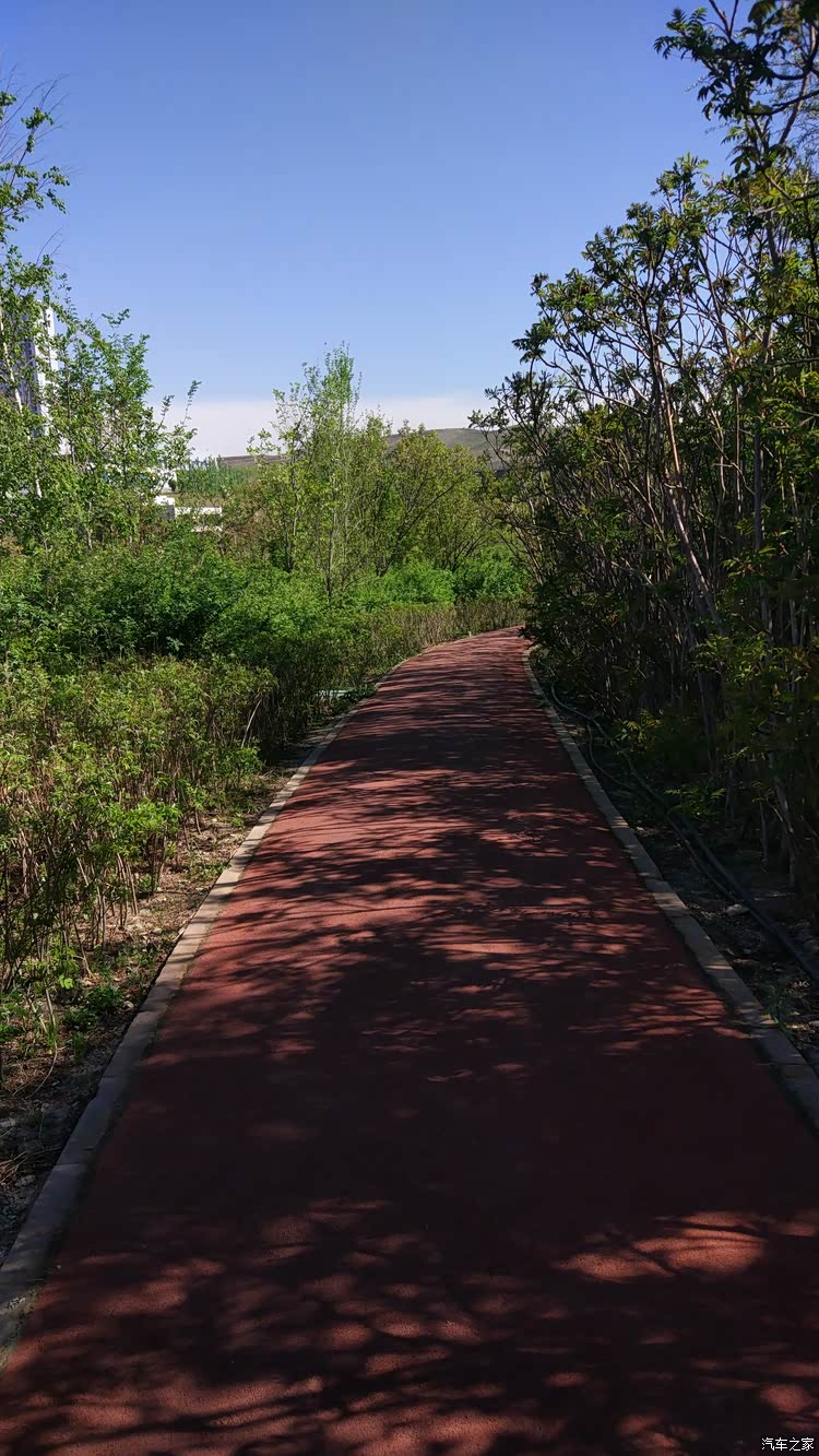 穿行在林间的步道