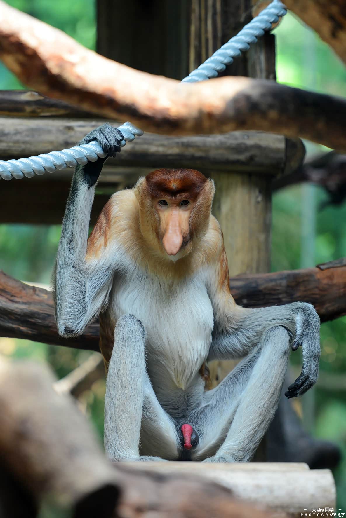 荐魅力广州,欢乐羊城(2天1夜广州周末游)